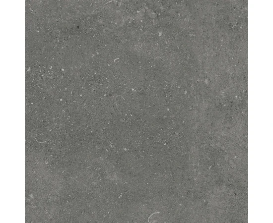 Керамогранит Eurotile Shellstone Моka Matt 600x600x9 - фото 232671