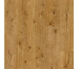 Ламинат Unilin Clix Floor Basis Дуб Грас CXB600 - фото 232747mini