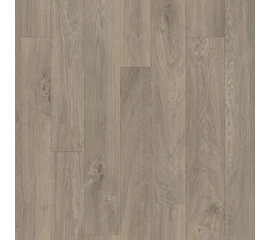 Линолеум Tarkett Titan Chester 2 - фото 21514mini