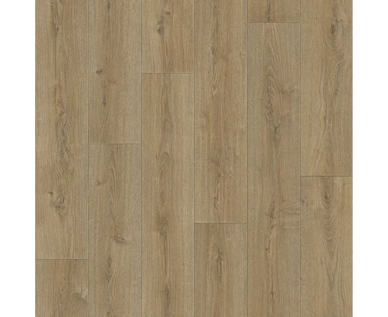 Линолеум Tarkett Praktika Bruno 2 - фото 25477